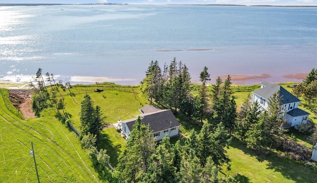 Blooming Point Beauty on Tracadie Bay. Family & dog-friendly waterfront cottage!