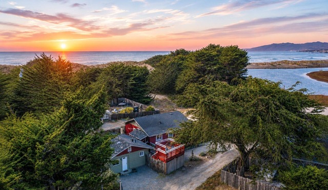 Bodega Breeze+Cabin~Walk to Beach~Hot Tub~Guest Studio~Dog~Sonoma Coast FUN! in Bodega Bay