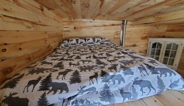 Bright and Cozy Tiny Pine House