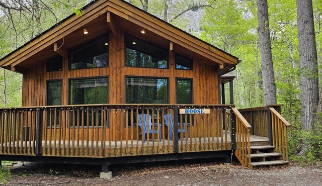 Crowsnest River Chalet - Moose