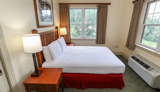 Hunter Mtn 3BR Exec Suite | Jacuzzi & Fireplace