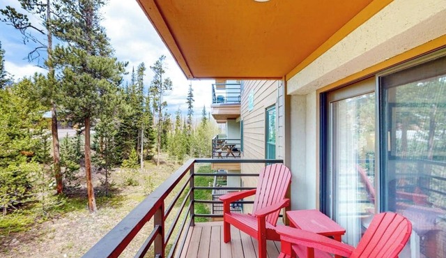 Immaculate & updated mountain condo - great views in Silverthorne