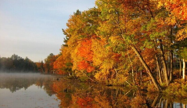 Lake Forest Resort – Relax on a Pristine Sandy Beach in the Northwoods!