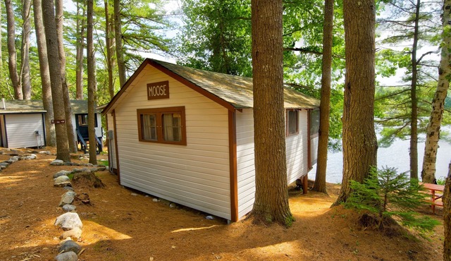 Lakefront Moose Tiny Cabin @ Getogether Stays