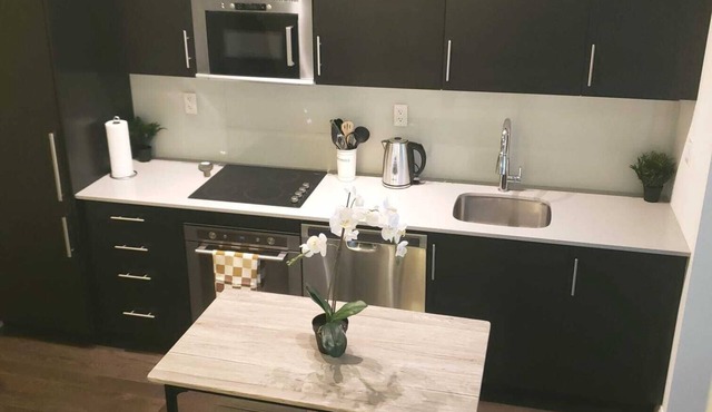 Luxury Spacious Condo Downtown
