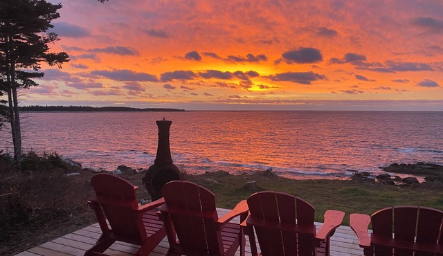 Majestic Oceanfront 8 acres of peace. Pets welcome :)