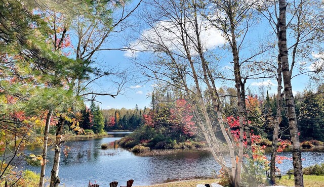 Modern Lakefront Escape In Muskoka in Emsdale