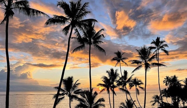 New 1BR/1B Secluded Beachfront Oahu Condo