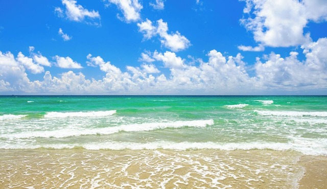 Oceanfront Enchanted Isle Resort 1 BR sleeps 4