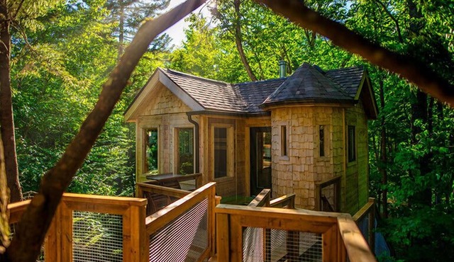 Perched lakeside treehouse, suspension bridge and deck | Lodging #16
