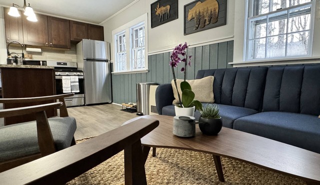 Pet-friendly rustic ski cottage! nNH Wooded Oasis, one mile to large Ski Resort! in Bartlett
