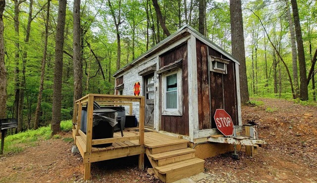 Pet-Friendly Tiny Home Rental in the Chattahoochee National Forest, for Glamping in Georgia