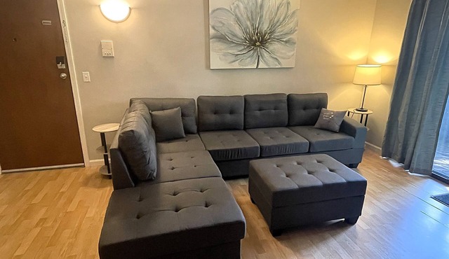 Pet friendly updated 2bd condo