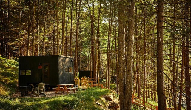 Postcard Cabins Eastern Catskills, Outdoor Collection by Marriott Bonvoy