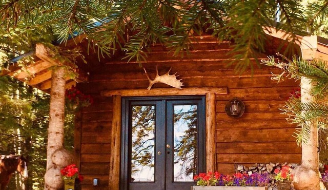Private Romantic Retreat in our Cozy Rustic Cabin