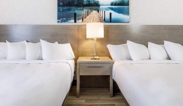 Repotel Levis in Levis