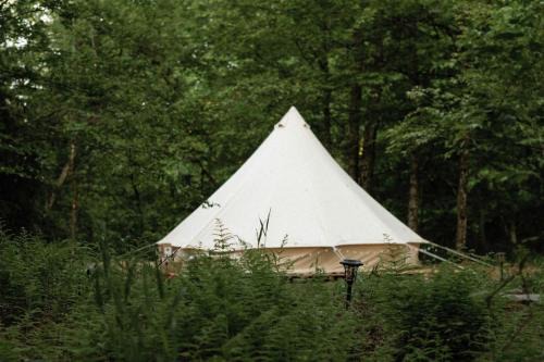 Romantic Riverside Glamping Tent with Private Golf Cart Near Long Eddy, New York