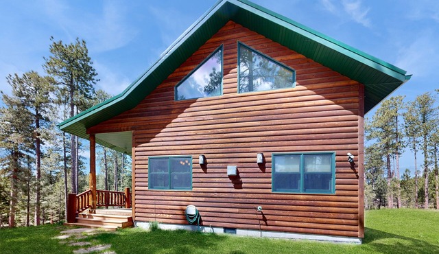 Rustic cabin w/expansive outdoor space, gas firepit, W/D & free WiFi