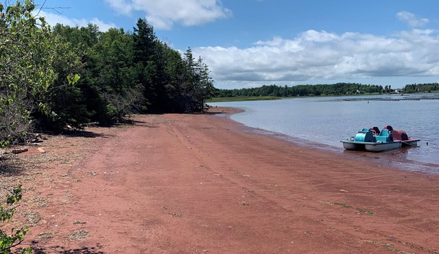 Semi-private beach, huge screened deck, woods on fenced property