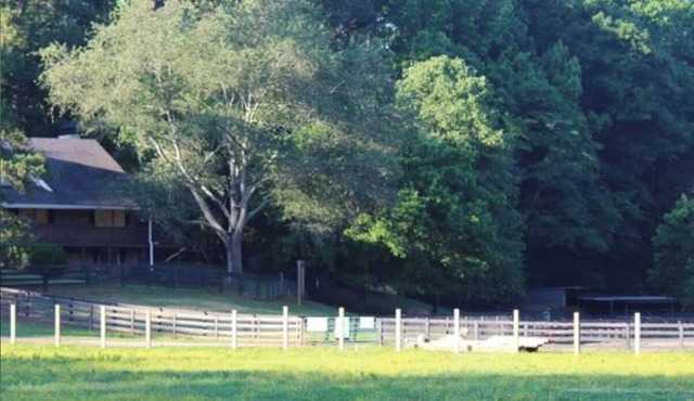 Spacious 2 BR/1.5 BA farmhouse in Alpharetta, GA horse country.