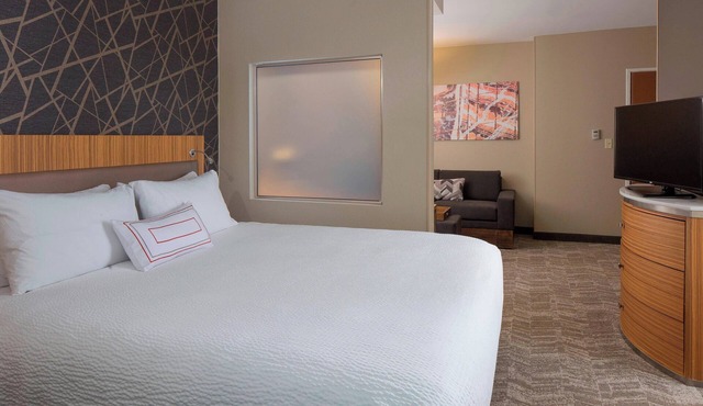 SpringHill Suites by Marriott St. Louis Airport/Earth City