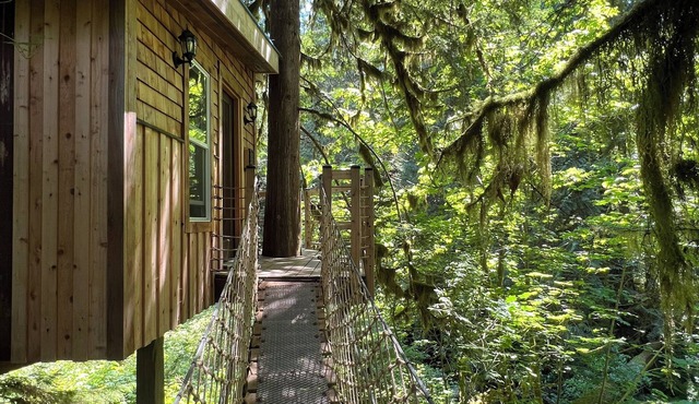 Squamish Tree House
