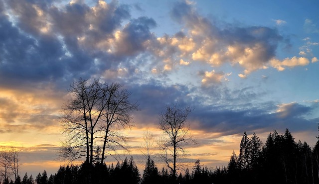 Take it easy at this tranquil getaway Kanaka Springs ,nature lovers paradise.