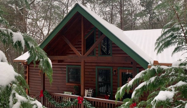 Tree Haven | Cherry Log Mountain