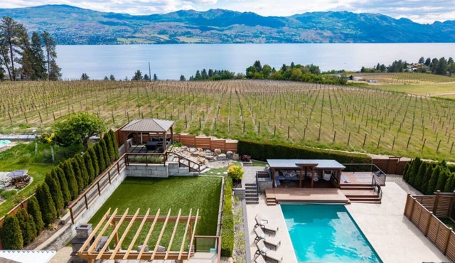 Vineyard Views