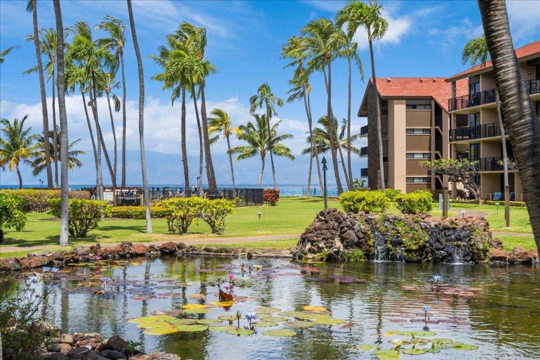 Photo of Others in Honokowai