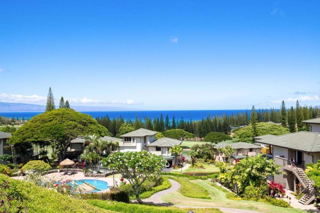 Photo of Others in Kapalua