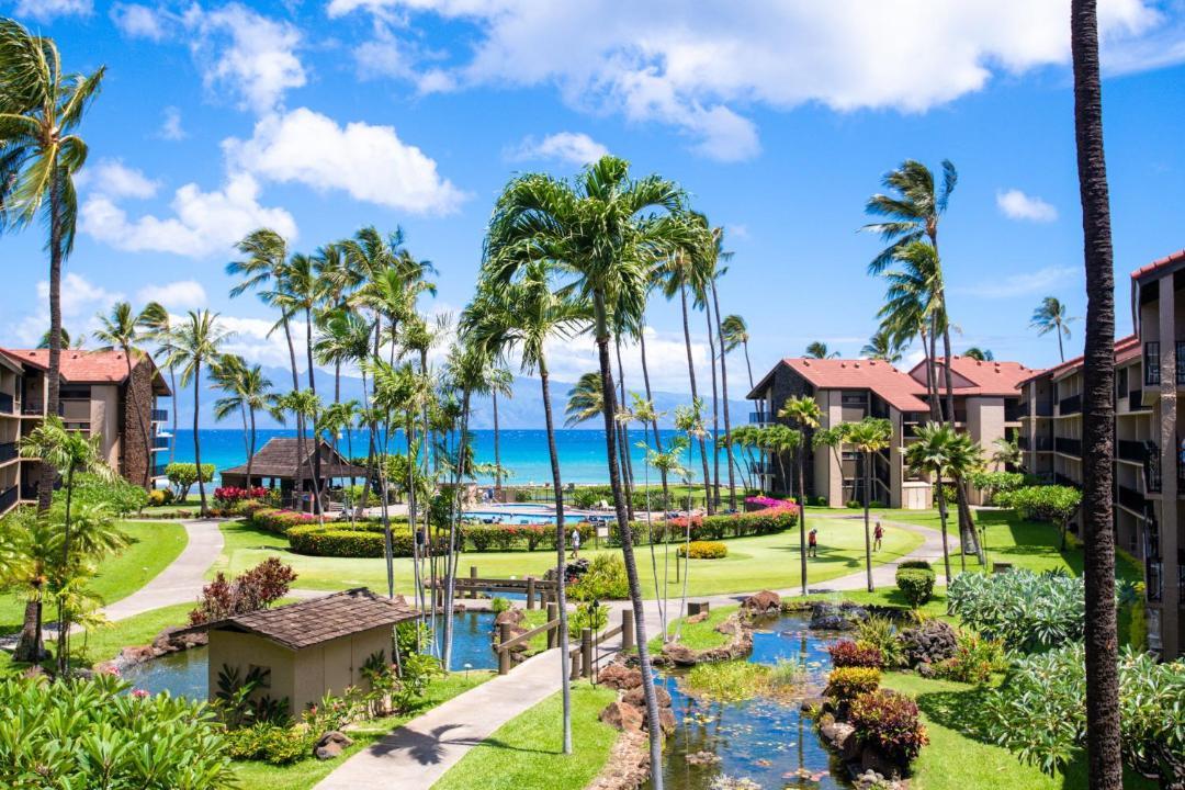 Photo of Others in Honokowai