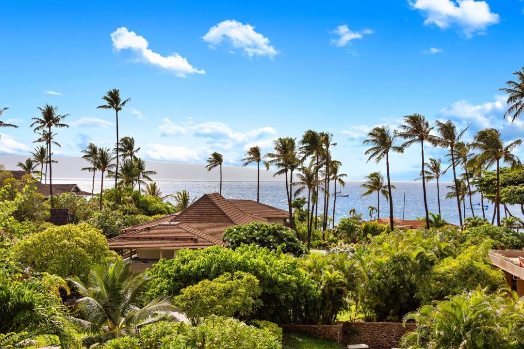Photo of Others in Kaanapali