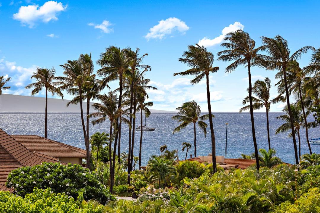 Photo of Others in Kaanapali
