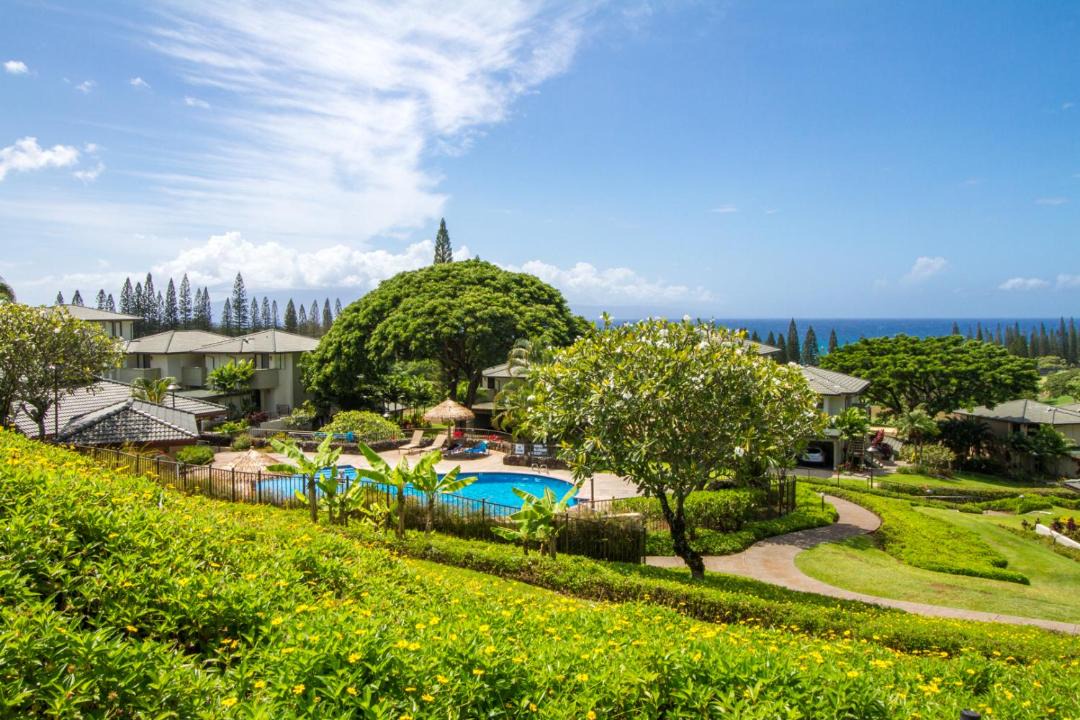 Photo of Others in Kapalua