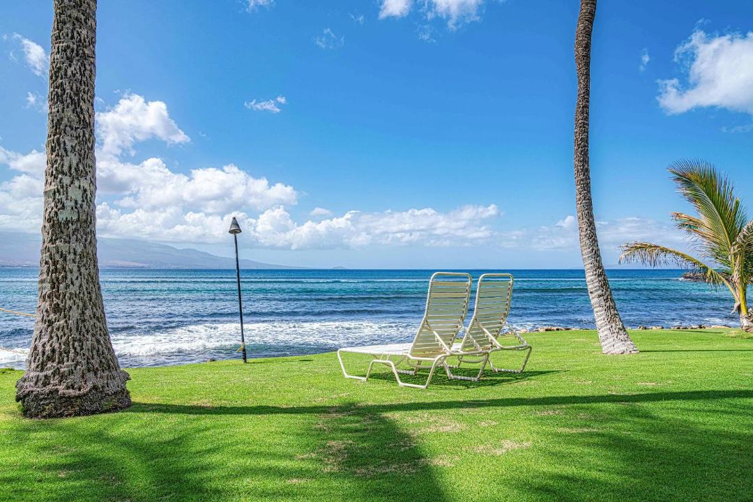 Photo of Others in Maalaea