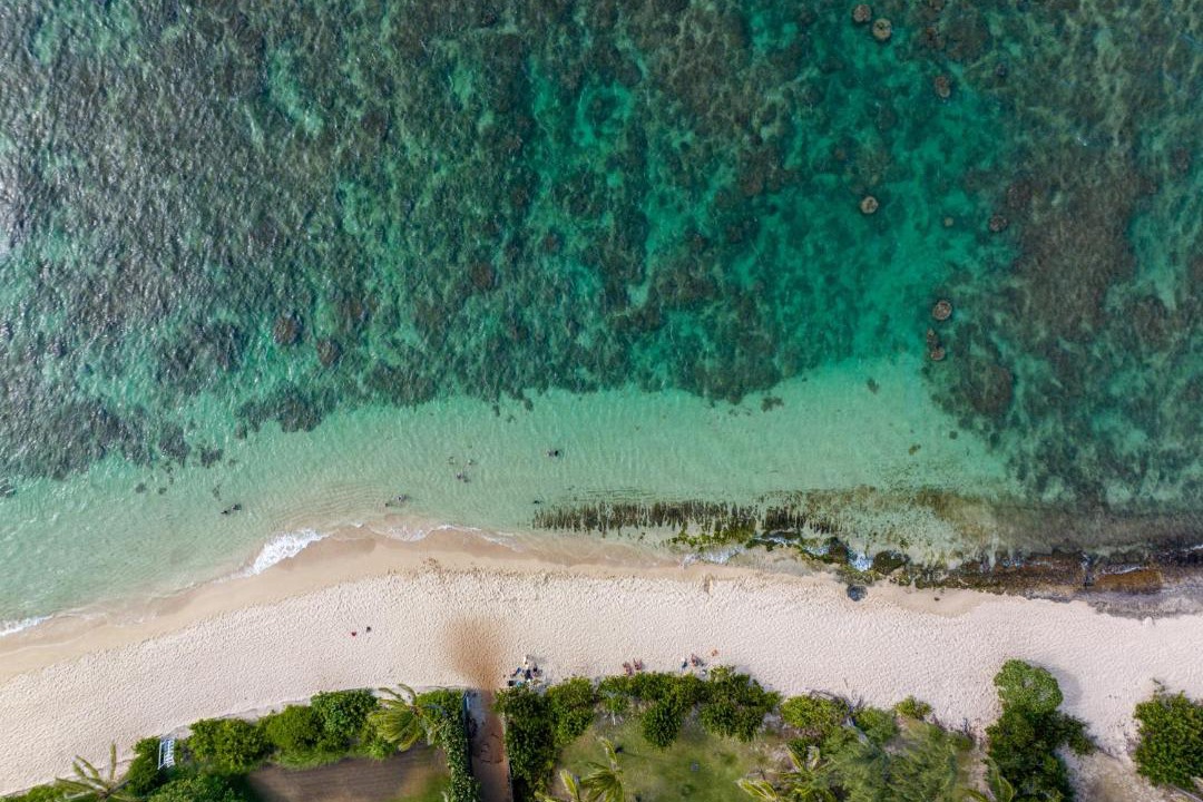 Photo of Others in Mokuleia